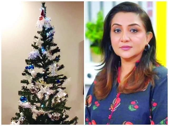 nadia proudly displays christmas tree at home nadia proudly displays christmas tree at home