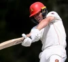 warner backs mcsweeney against ind