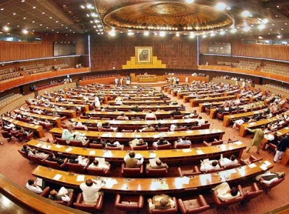 lawmakers demand justice for bhutto slam sc verdict