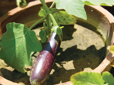 getting down and dirty getting down and dirty