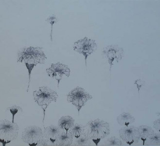 waves and particles newton s theories take on a new face