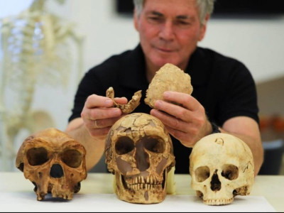 new type of early human found in israel