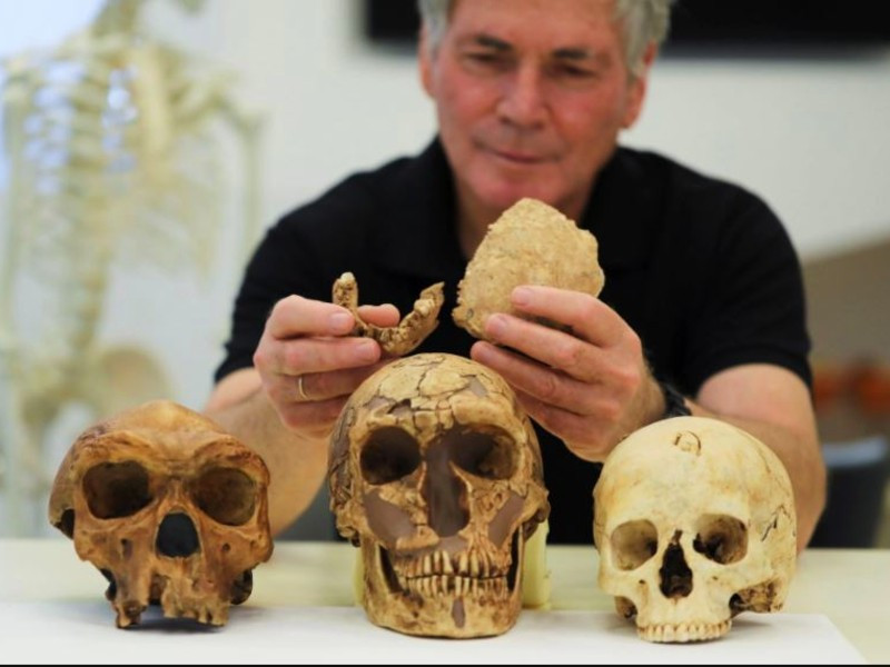 tel aviv university professor israel hershkovitz holds what scientists say are two pieces of fossilised bone of a previously unknown kind of early human discovered at the nesher ramla site in central israel during an interview with reuters at the steinhardt museum of natural history in tel aviv israel june 23 2021 picture taken june 23 2021 photo reuters
