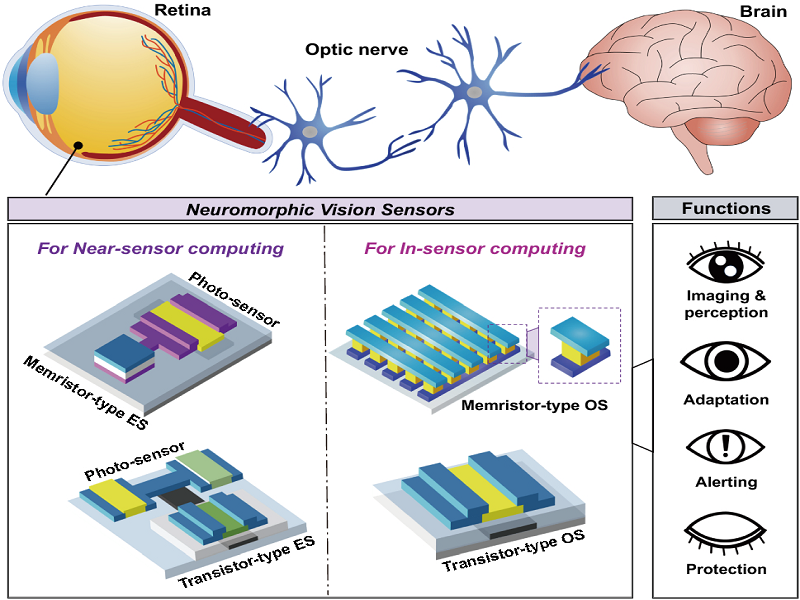 diagram of neuromorphic vision sensor photo app