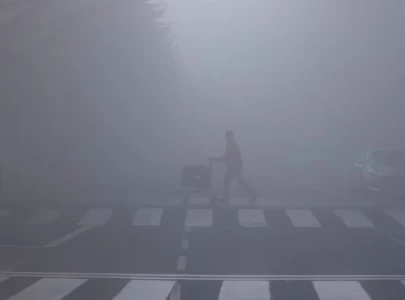 dense fog disrupts flights trains in indian capital