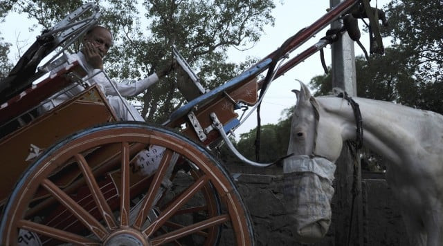 delhi s tongas forced to ride into the sunset delhi s tongas forced to ride into the sunset