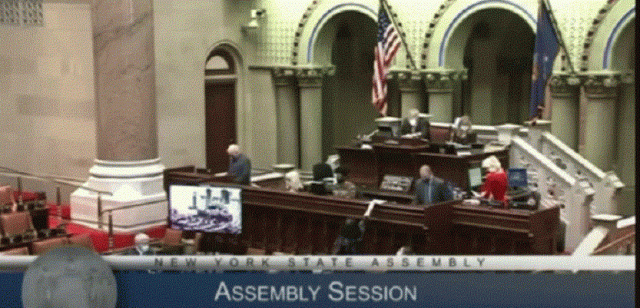 pakistan hails ny assembly resolution declaring feb 5 as kashmir american day pakistan hails ny assembly resolution declaring feb 5 as kashmir american day