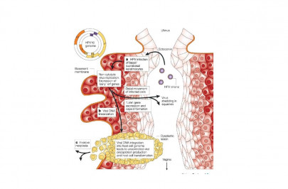nipping the bug that beds in the womb