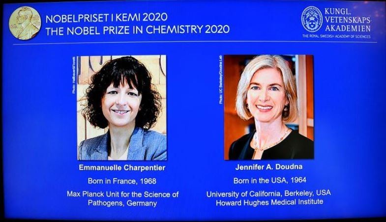 pictures of emmanuelle charpentier and jennifer a doudna winners of the 2020 nobel prize in chemistry are displayed on a screen during the news conference announcing the laureates at the royal swedish academy of sciences in stockholm sweden october 7 2020 photo reuters