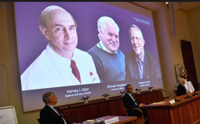 virus hunting trio wins nobel for hepatitis c discovery