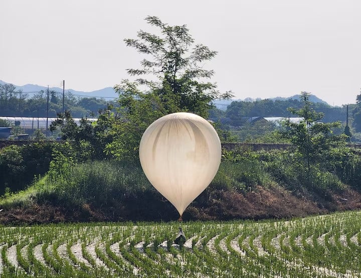 a balloon believed to have been sent by north korea is seen over a rice field at cheorwon south korea may 29 2024 photo reuters