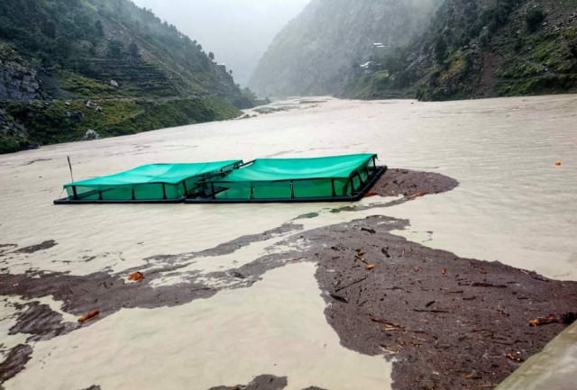 swat flood deals severe blow to trout fish farming swat flood deals severe blow to trout fish farming