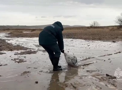 heavy fuel oil makes black sea spill hard to clean up