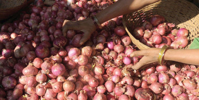sri lanka to buy pakistani onions