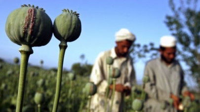 is afghanistan the drug istan for nato is afghanistan the drug istan for nato