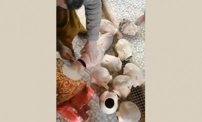 watch afghan shop owners behead mannequins after taliban decree