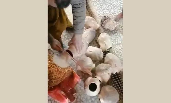 watch afghan shop owners behead mannequins after taliban decree watch afghan shop owners behead mannequins after taliban decree