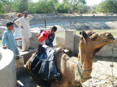 counting raindrops in thar counting raindrops in thar