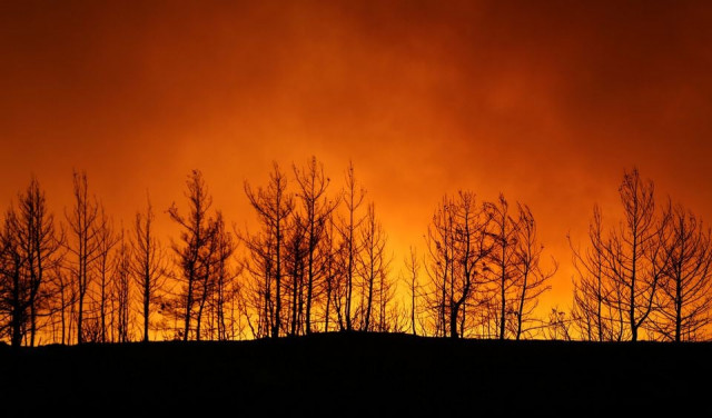3 burnt to death in balochistan forest fire 3 burnt to death in balochistan forest fire