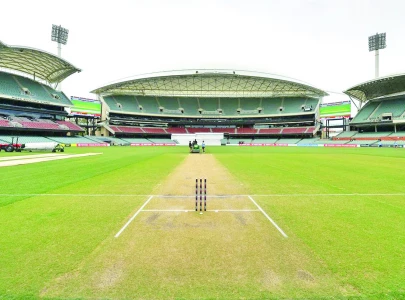 adelaide pitch set to favour pacers adelaide pitch set to favour pacers