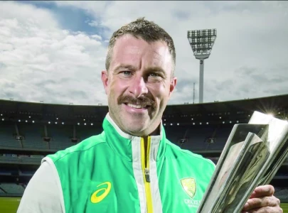 matthew wade retires from international cricket