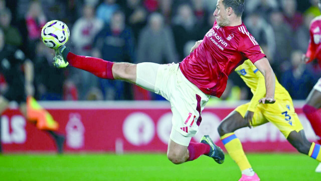 henderson howler hands forest victory henderson howler hands forest victory
