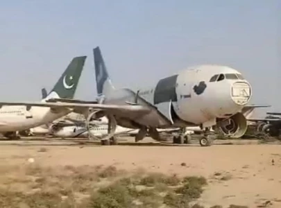 karachi airport s plane graveyard attracts birds