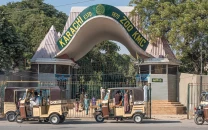 people flock to safari park zoos