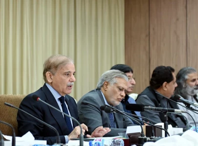 pm forms committee on austerity measures