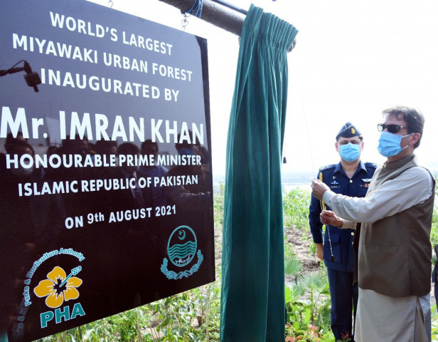 billion tree plantation programme slows down billion tree plantation programme slows down