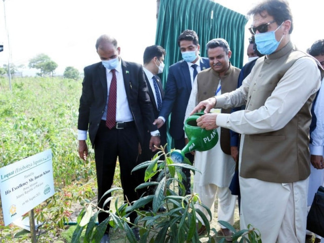 prime minister imran khan planting a tree at the inauguration of world s largest miyawaki forest in lahore on august 9 2021 photo pid file prime minister imran khan planting a tree at the inauguration of world s largest miyawaki forest in lahore on august 9 2021 photo pid file