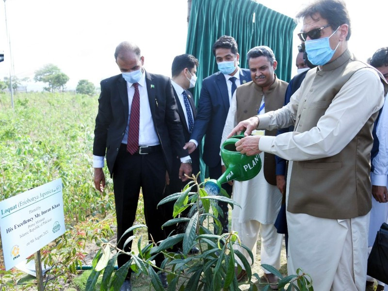 prime minister imran khan planting a tree at the inauguration of world s largest miyawaki forest in lahore on august 9 2021 photo pid file