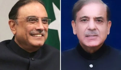 president asif ali zardari and prime minister shehbaz sharif photo file
