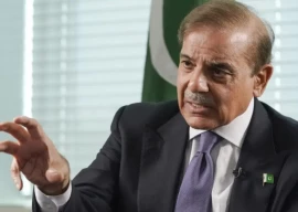 pm shehbaz vows to boost it exports freelance growth pm shehbaz vows to boost it exports freelance growth