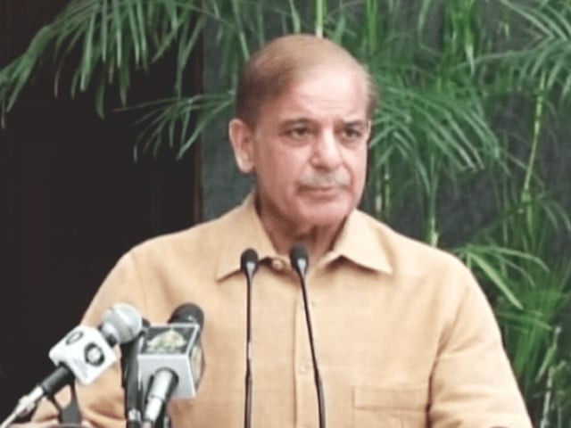 prime minister shehbaz sharif addressing a ceremony in karachi screengrab file