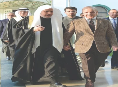 shehbaz rules out mini budget shehbaz rules out mini budget