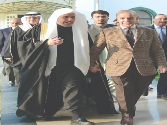 shehbaz rules out mini budget shehbaz rules out mini budget