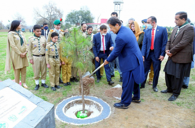 pm tells citizens to plant five trees per family