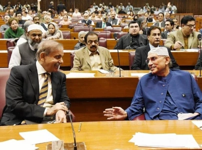 pm shehbaz wins surprise vote of confidence