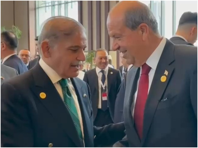 pm shehbaz sharif met different world leaders during his two day visit to turkiye screengrab