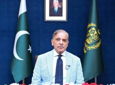 coalition put pakistan on right track pm coalition put pakistan on right track pm