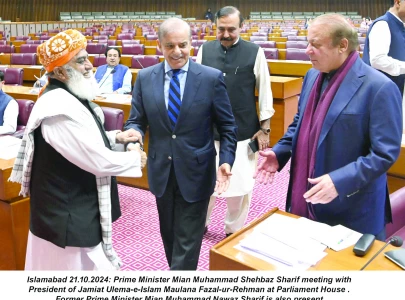 judiciary s wings clipped judiciary s wings clipped