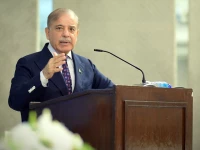 prime minister shehbaz sharif photo pid