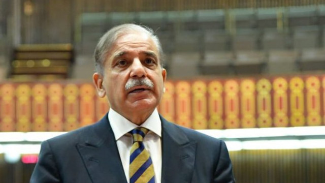 ppp says stands in solidarity with pm shehbaz ppp says stands in solidarity with pm shehbaz