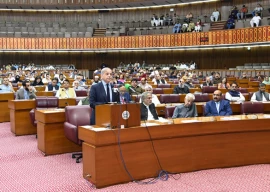 na resonates with unanimous fervour against assassination of hamas chief na resonates with unanimous fervour against assassination of hamas chief