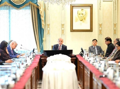 pakistan declares august 2 national day of mourning over ismail haniyeh assassination