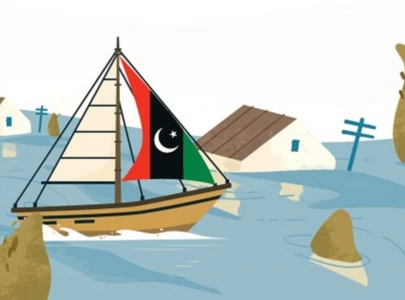 ppp victory baffles observers