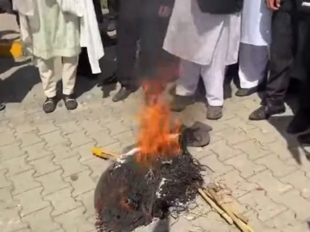 pti lawyers face terrorism charges for burning effigy outside supreme court pti lawyers face terrorism charges for burning effigy outside supreme court