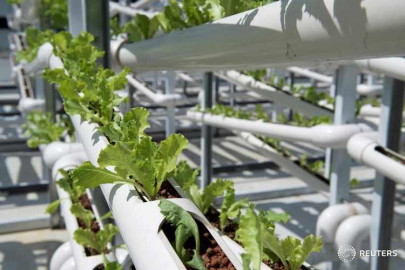 pvc price soars 35 from its may 2020 low