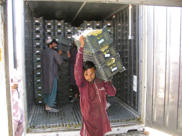 labourers offload crates of grapes off a truck from afghanistan at the friendship gate crossing point in the pakistan afghanistan border town of chaman photo reuters labourers offload crates of grapes off a truck from afghanistan at the friendship gate crossing point in the pakistan afghanistan border town of chaman photo reuters